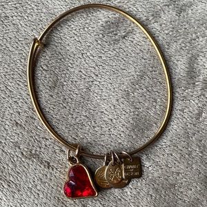 Alex and Ani Red Heart bracelet